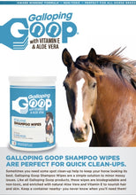 Load image into Gallery viewer, RINSE FREE WIPES