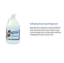 Load image into Gallery viewer, LIQUID DEGREASER 3.8L REFILL