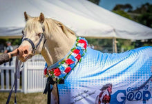 Load image into Gallery viewer, GALLOPING GOOP OFFICIAL RUG
